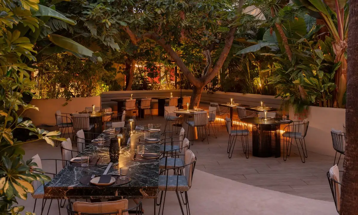 Hard Rock Hotel Marbella Restaurante Zengo