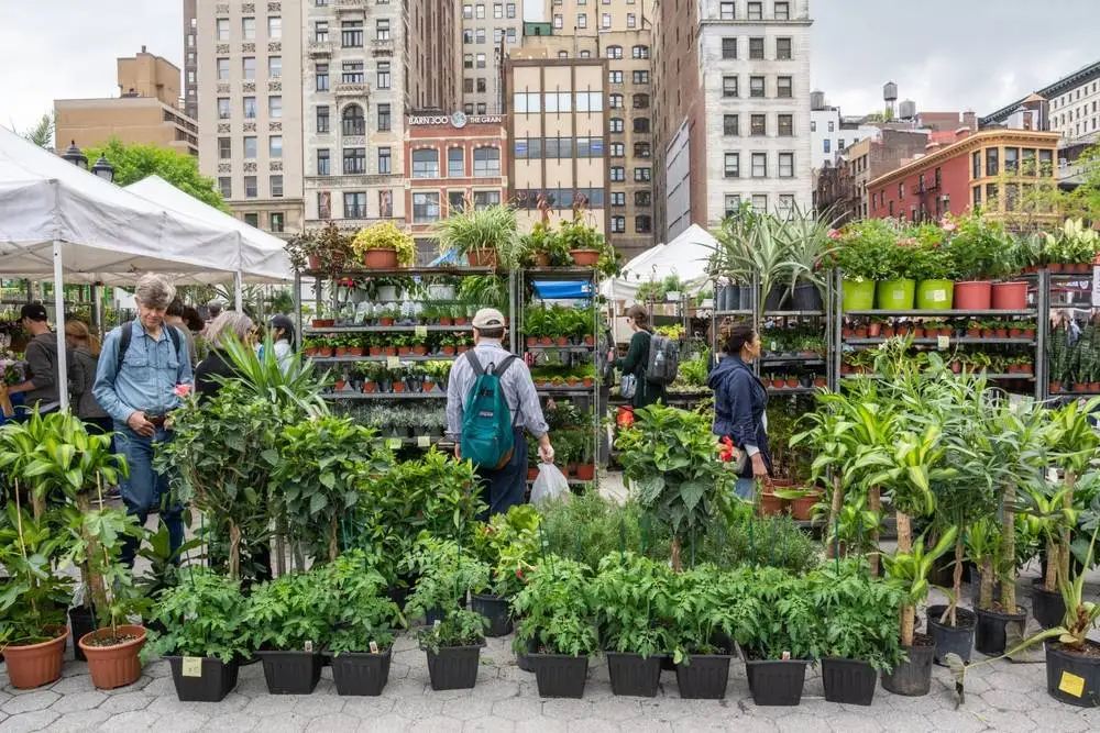 Mercado da Union Square    