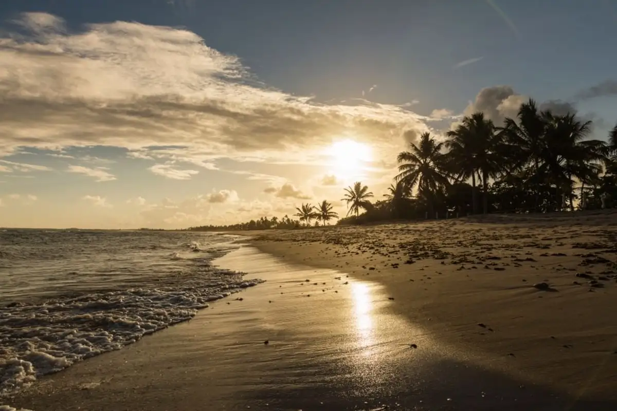 praia do forte
