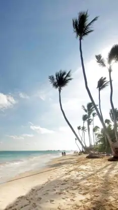 Paseos por la playa