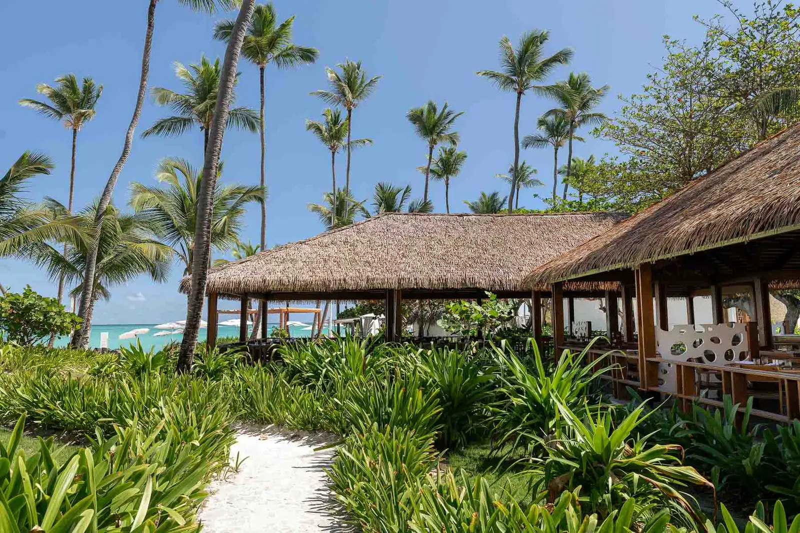 Grand Palladium Punta Cana restaurante Arrecife