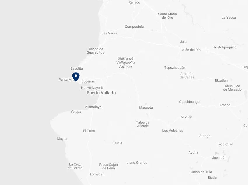 Mapa Grand Palladium Vallarta Resort and Spa