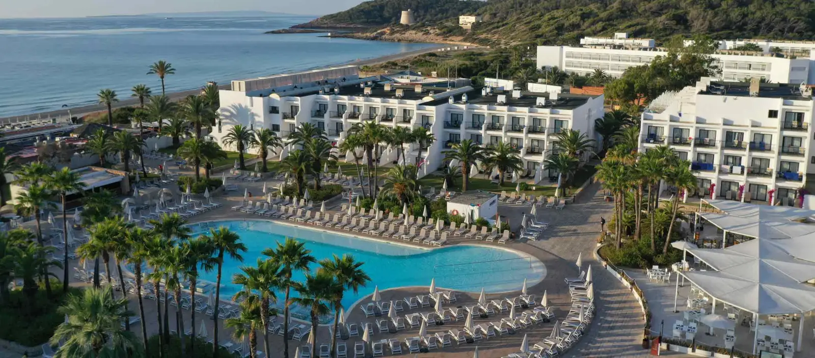 Palladium Early Bird Booking