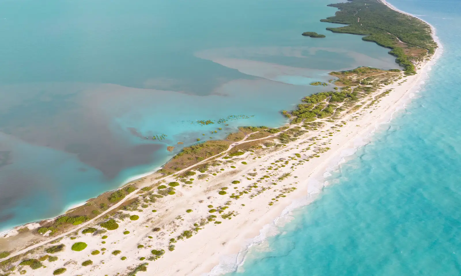 costa-mujeres-2000x1200