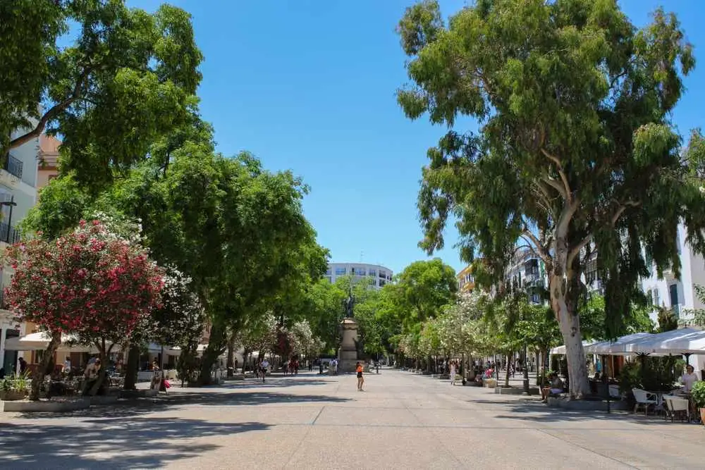 vara del rey - ibiza