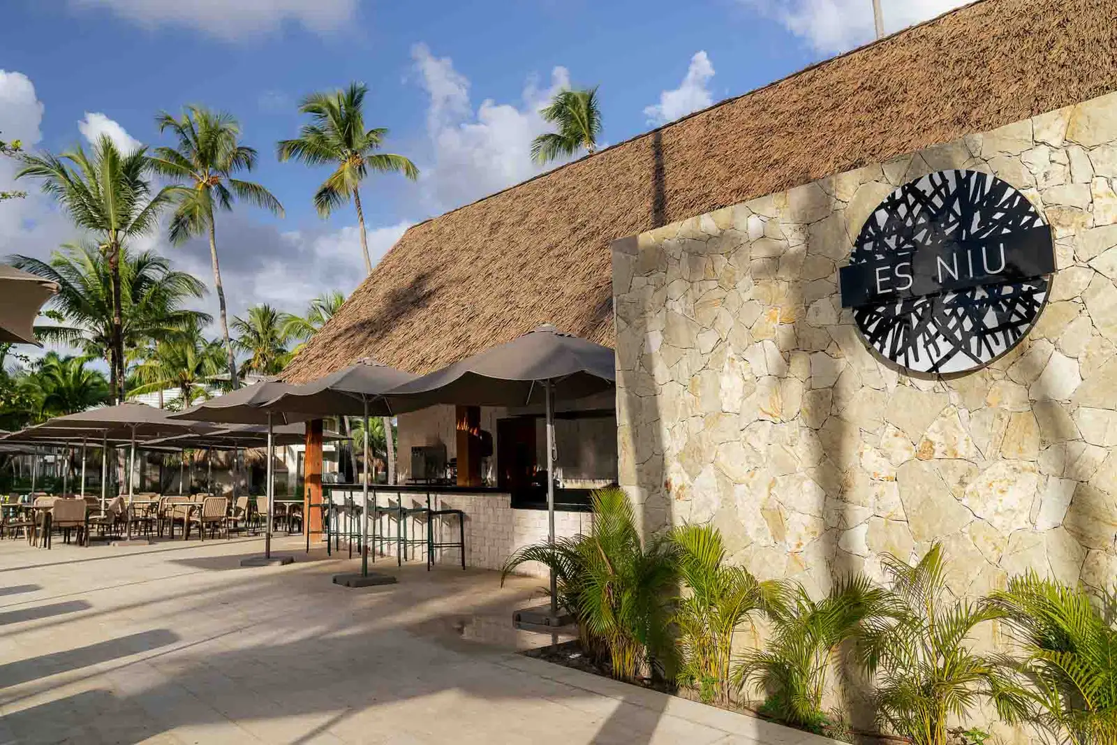 punta-cana-gastronomia-es-niu