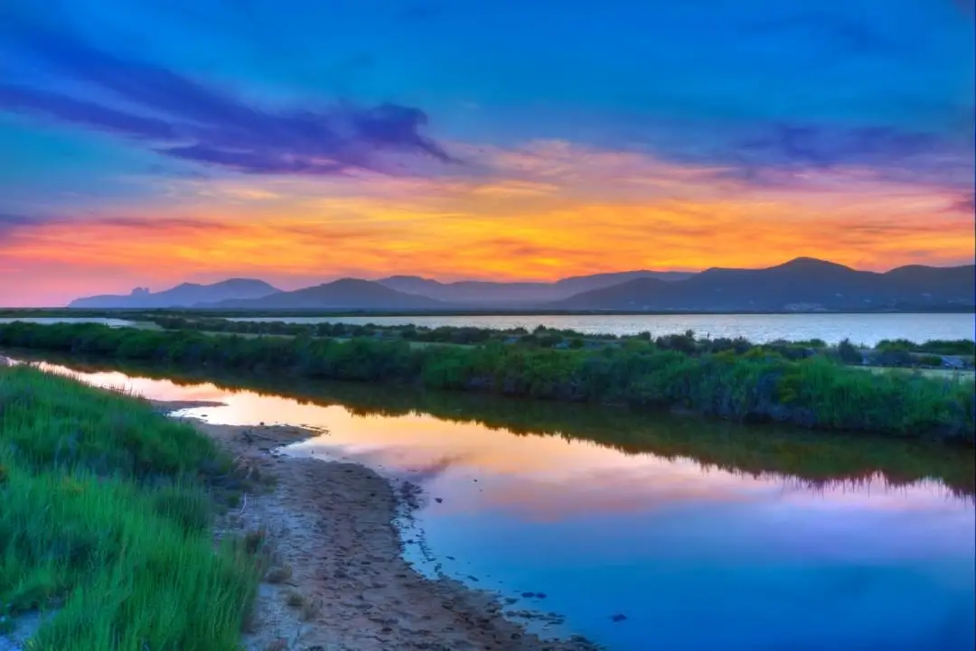 Parque Natural de Ses Salinas