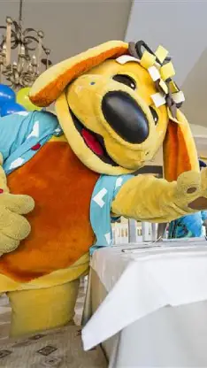 Programas supervisados 