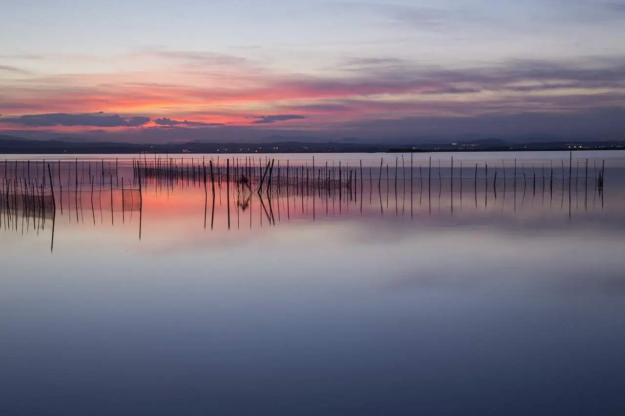 parque natural lalbufera