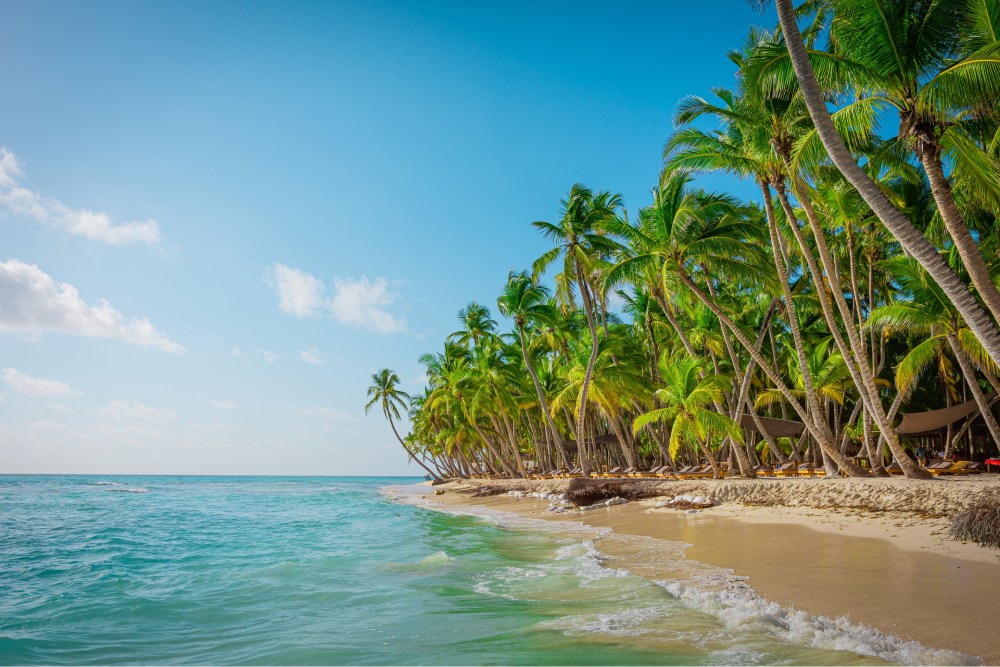 guia-turistica-punta-cana-isla-saona_5