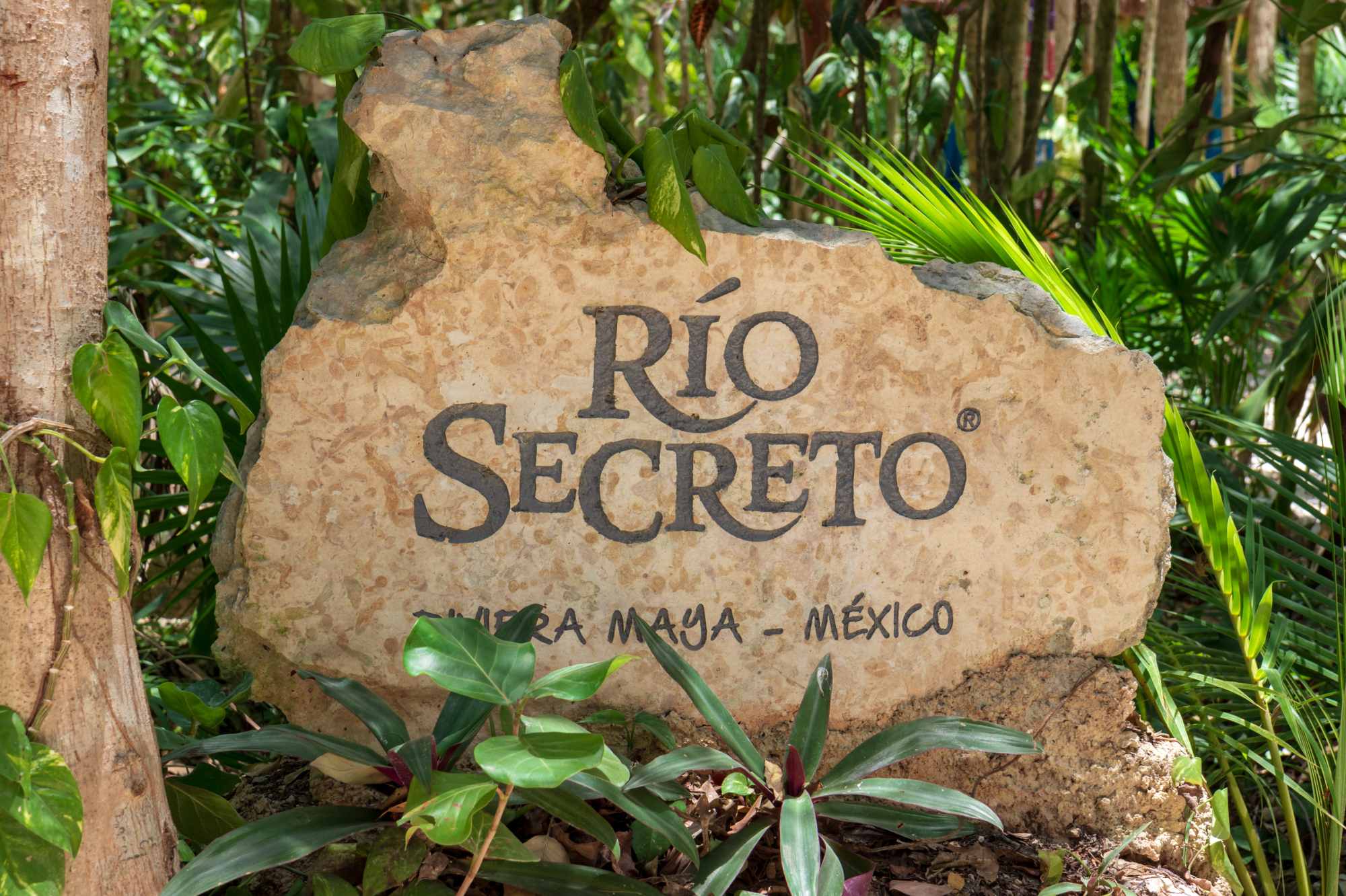 Río Secreto: una guida completa per un’avventura sotterranea ...