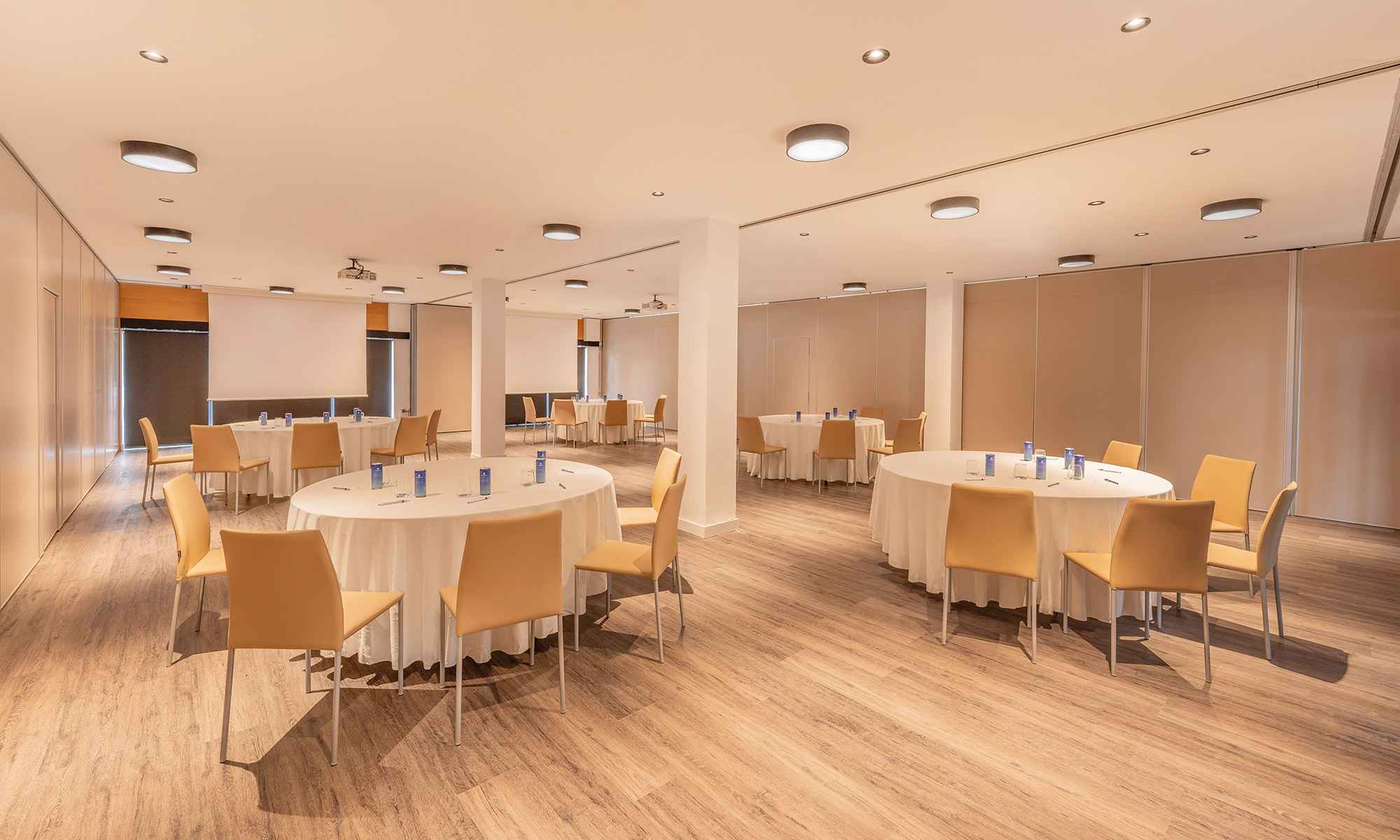 Grand-Palladium-Palace-Ibiza-MICE_Sa-Conillera+Tagomago