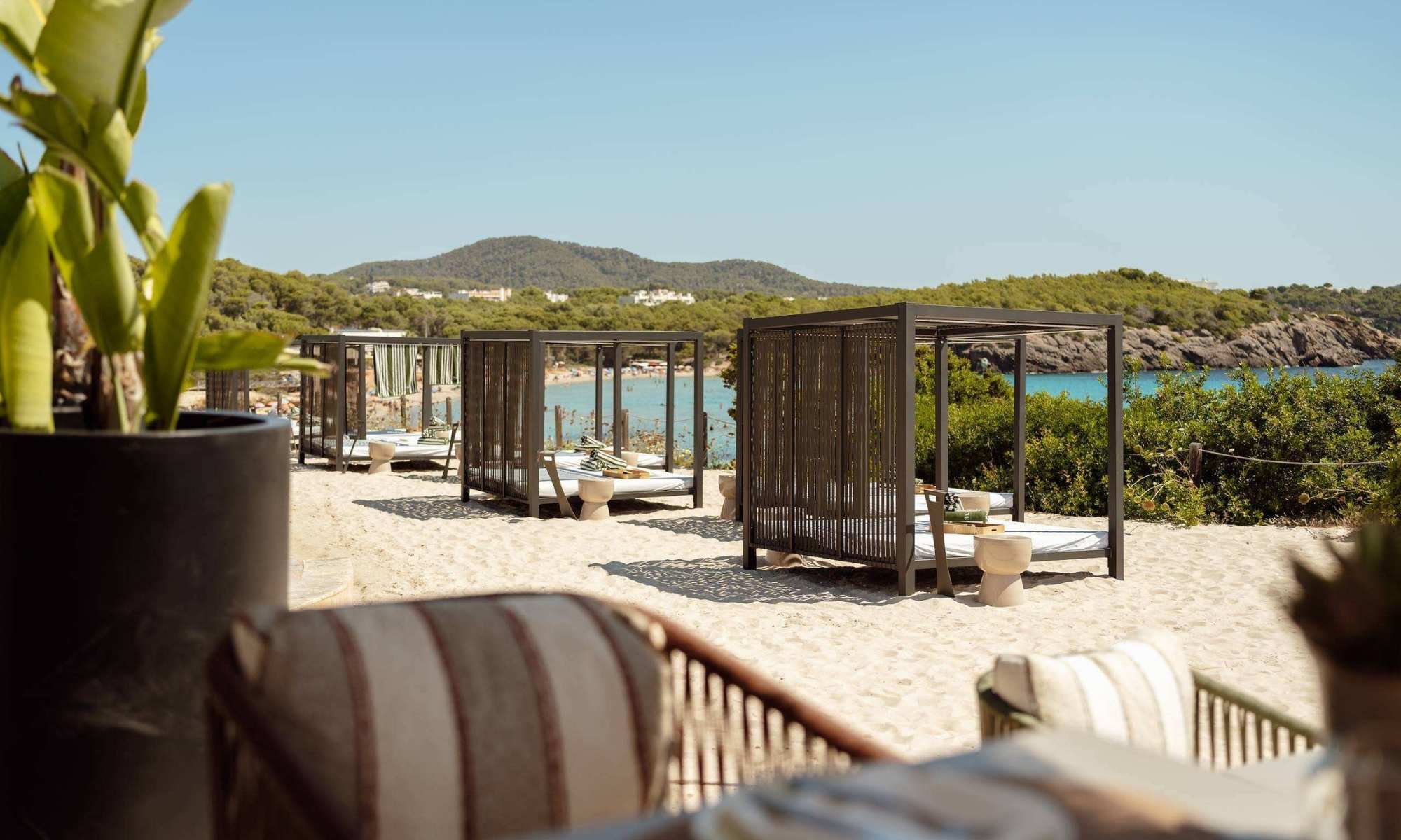bless ibiza cala nova experiencia