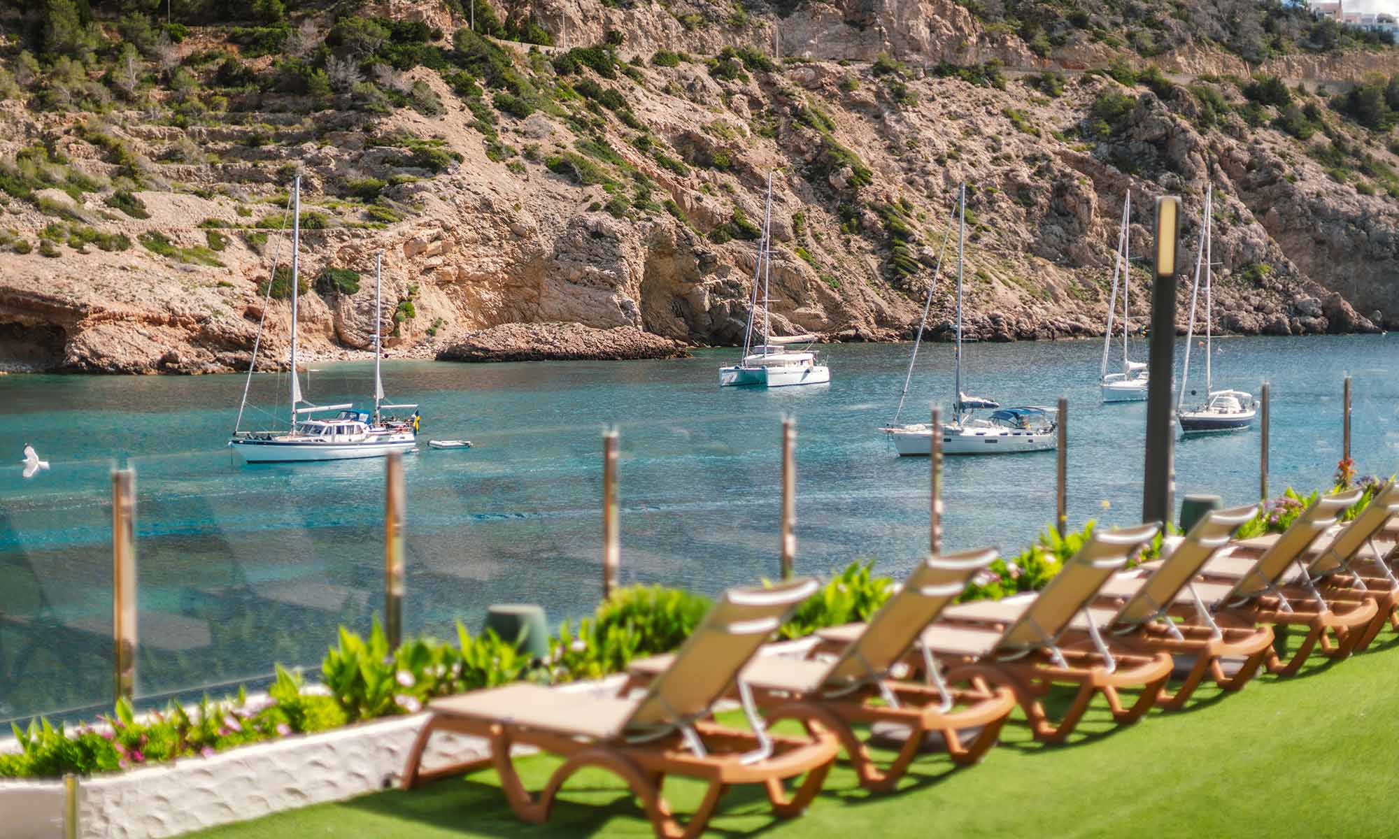 palladium hotel cala llonga hamacas