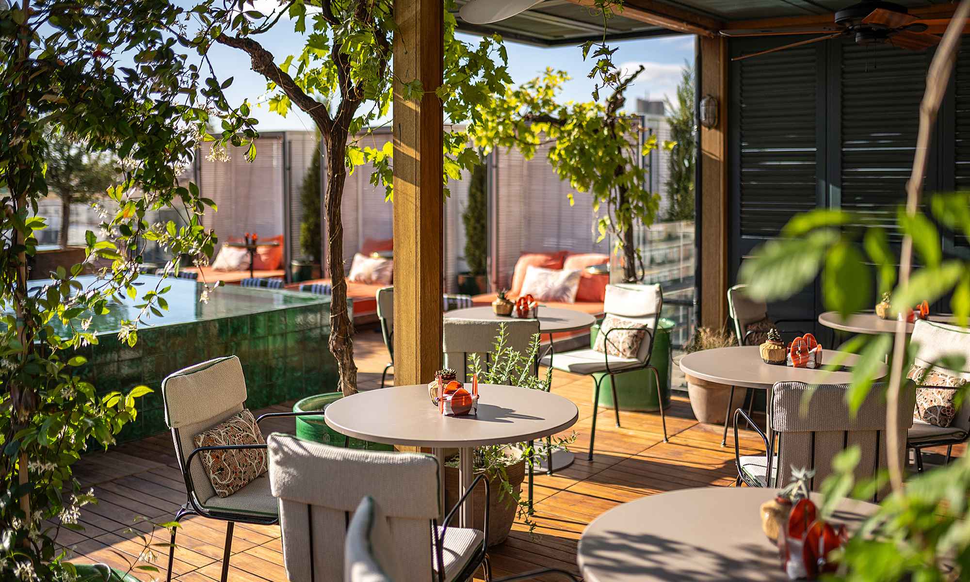 BLESS Madrid piscina rooftop