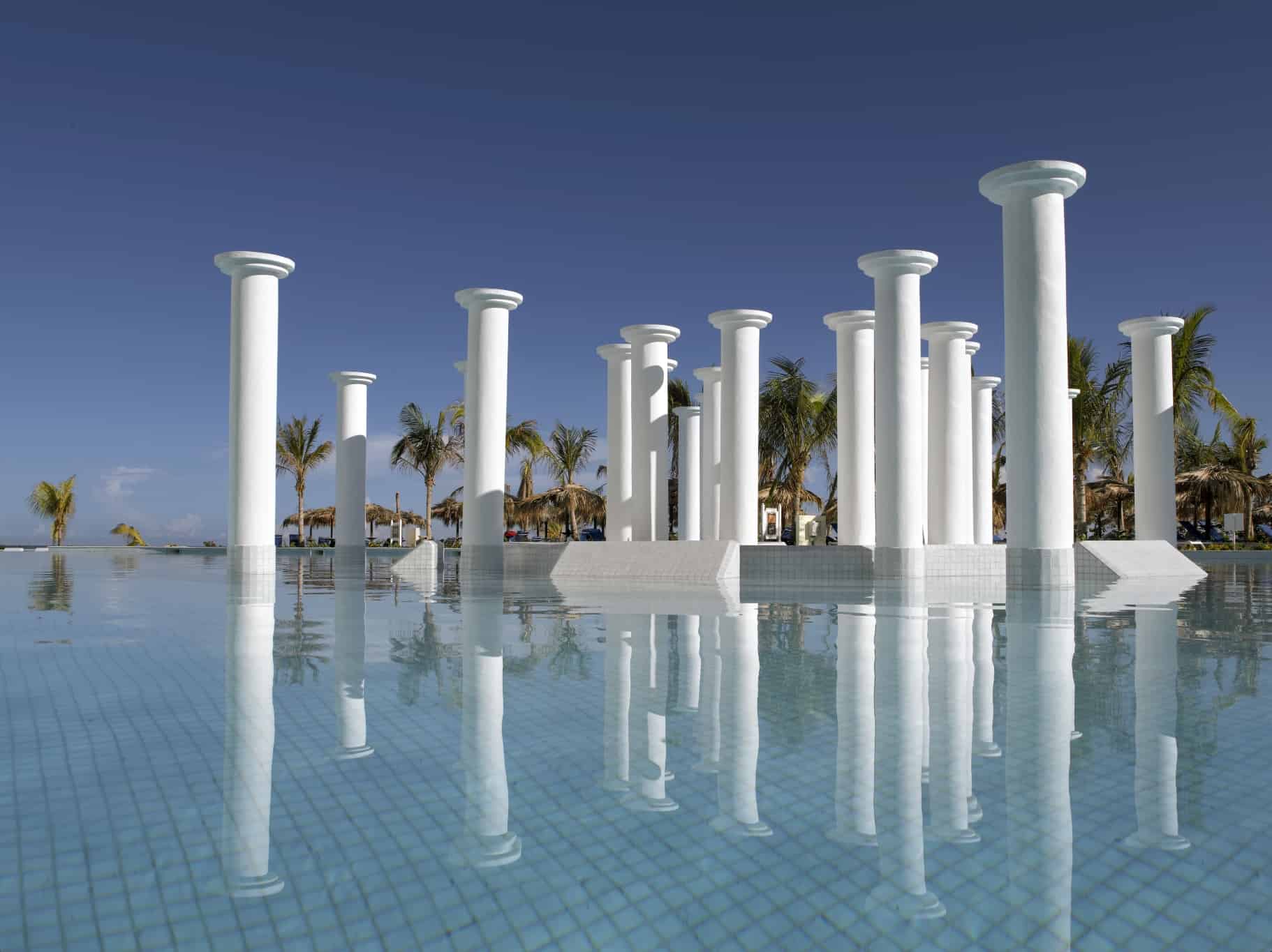 Zona de piscina y palmeras