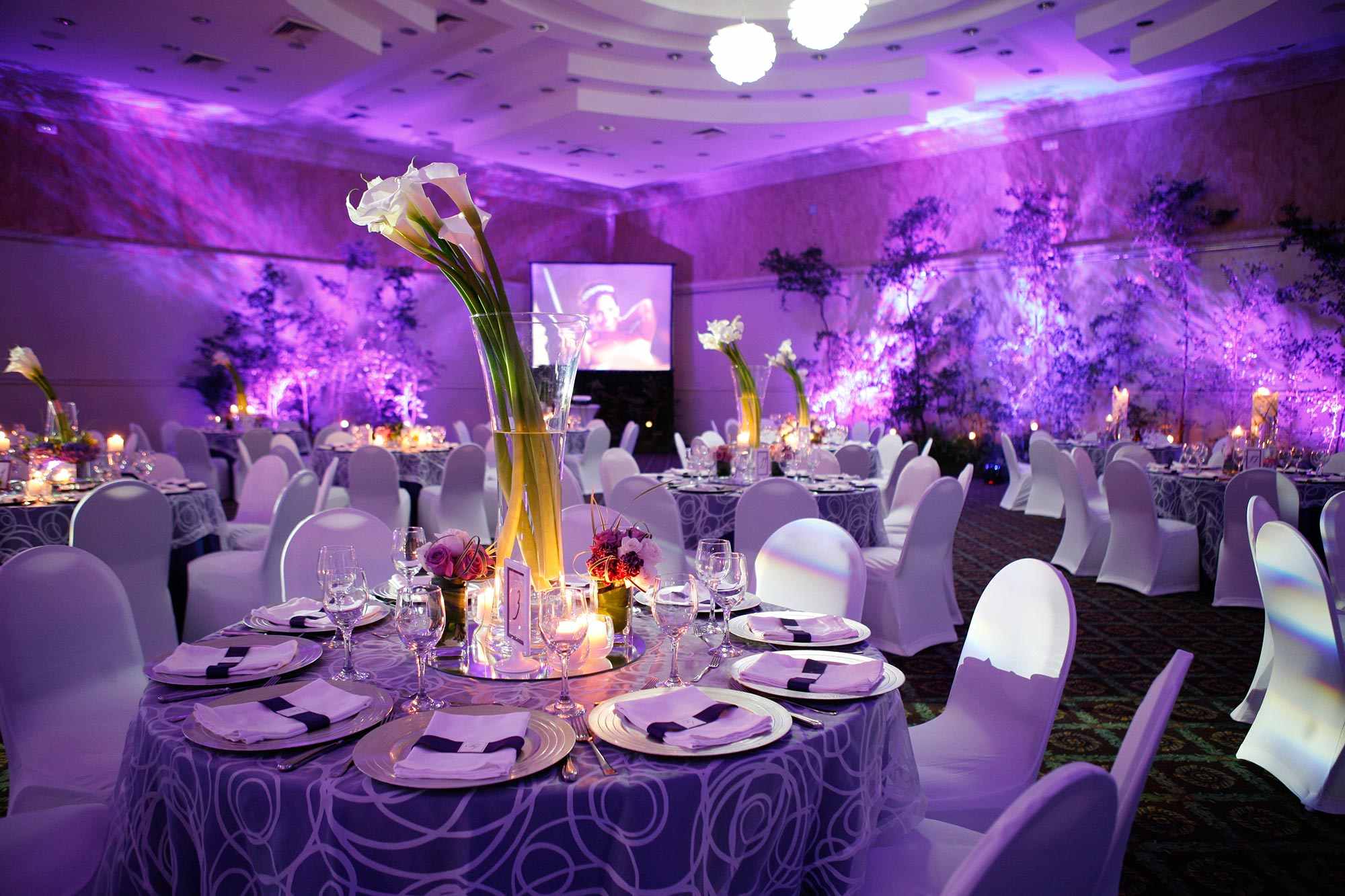 Dominican-Fiesta-Hotel-Paquete-Palladium