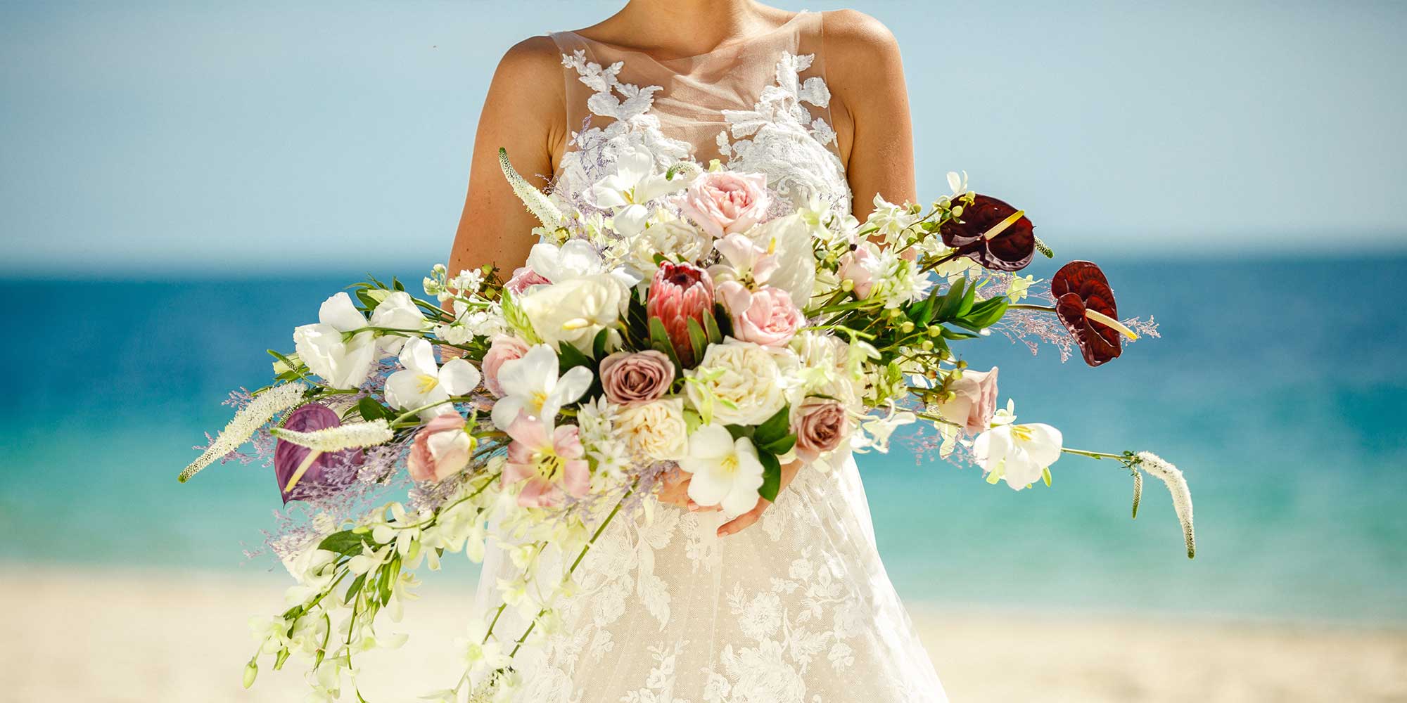 Banner offer image