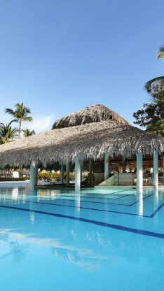 Swim up bars