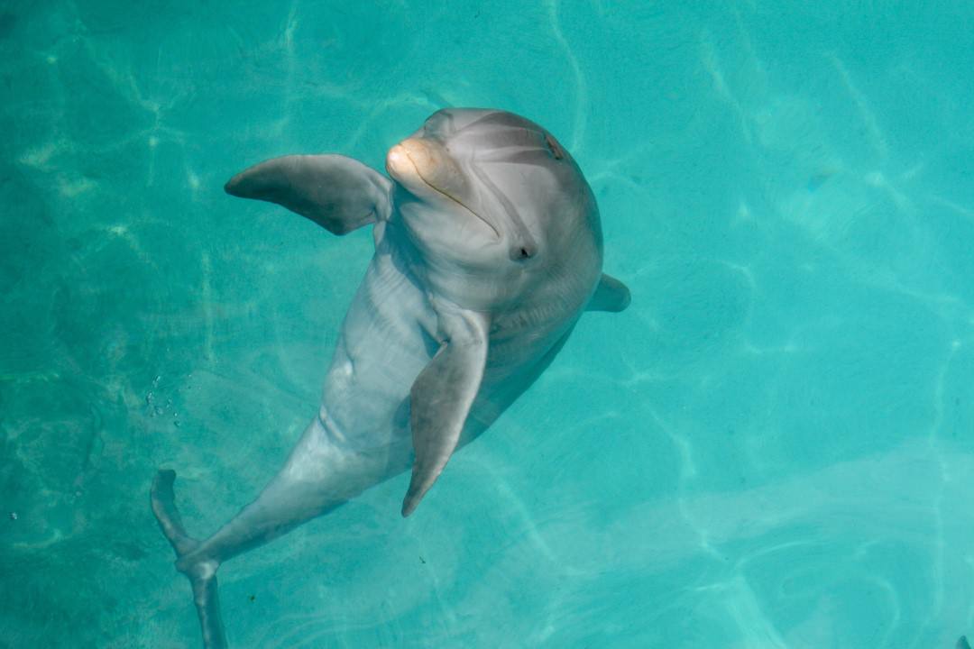 Katamaran zur Isla Mujeres