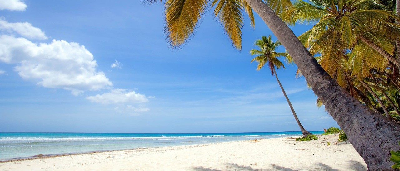 playa delfín