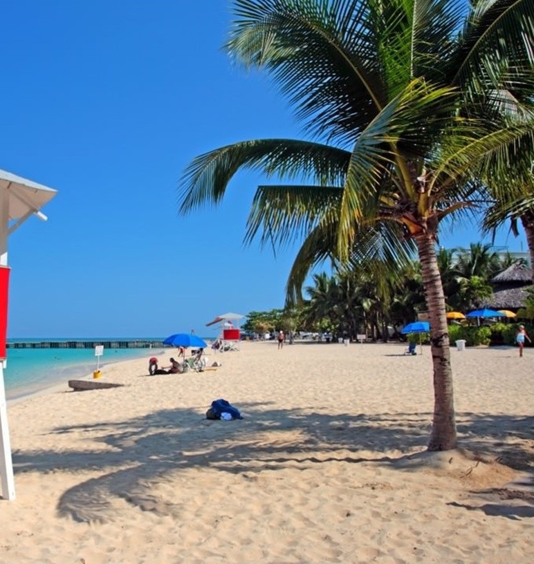 playa delfín