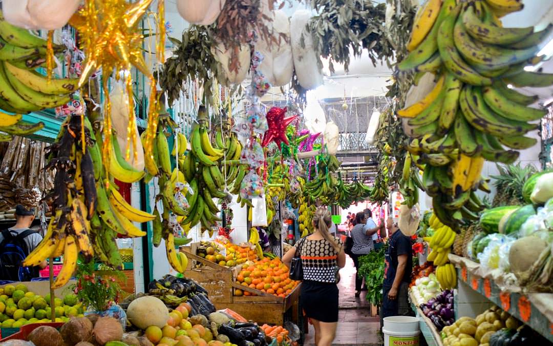 What to do in Costa Mujeres