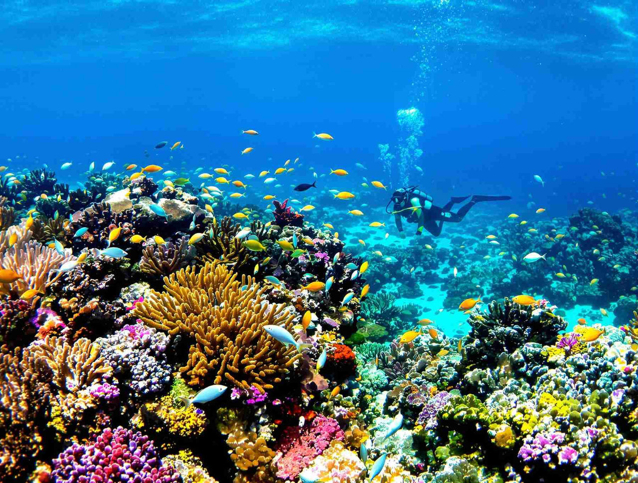 cozumel