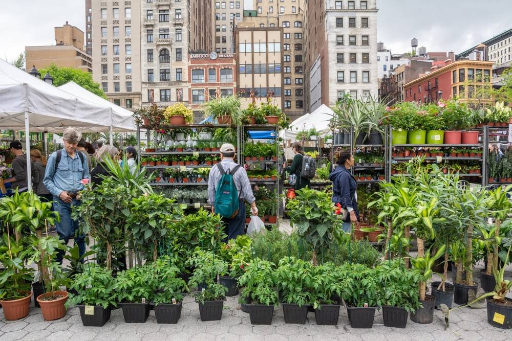 Union Square Market    
