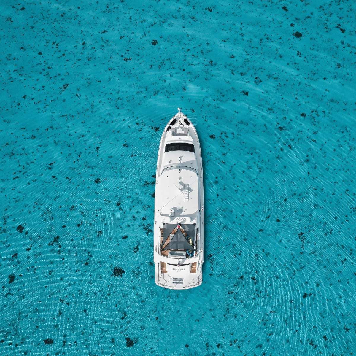 sortie en bateau