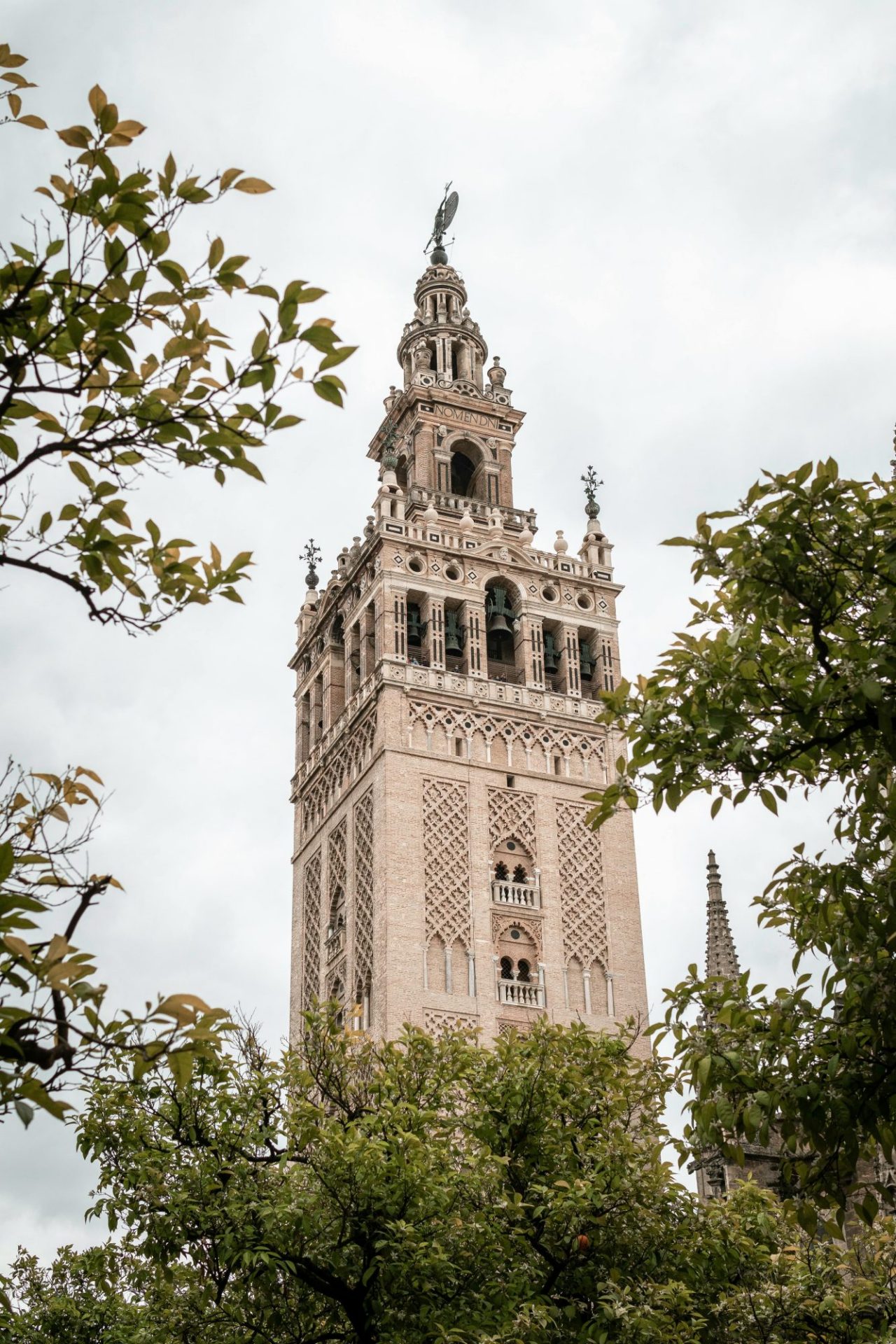 Visite de la cathédrale et de la Giralda