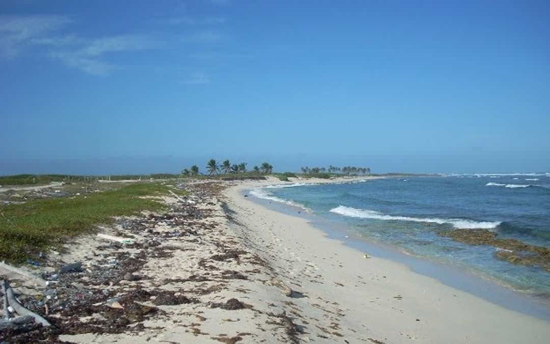 plage del foro