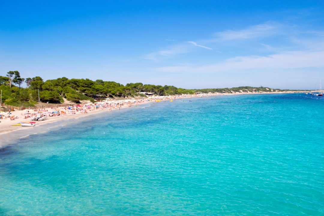 playa delfín