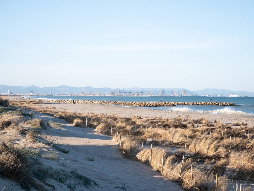 playa devesa