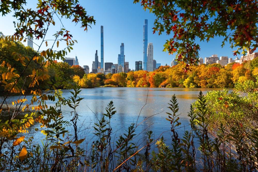 New York