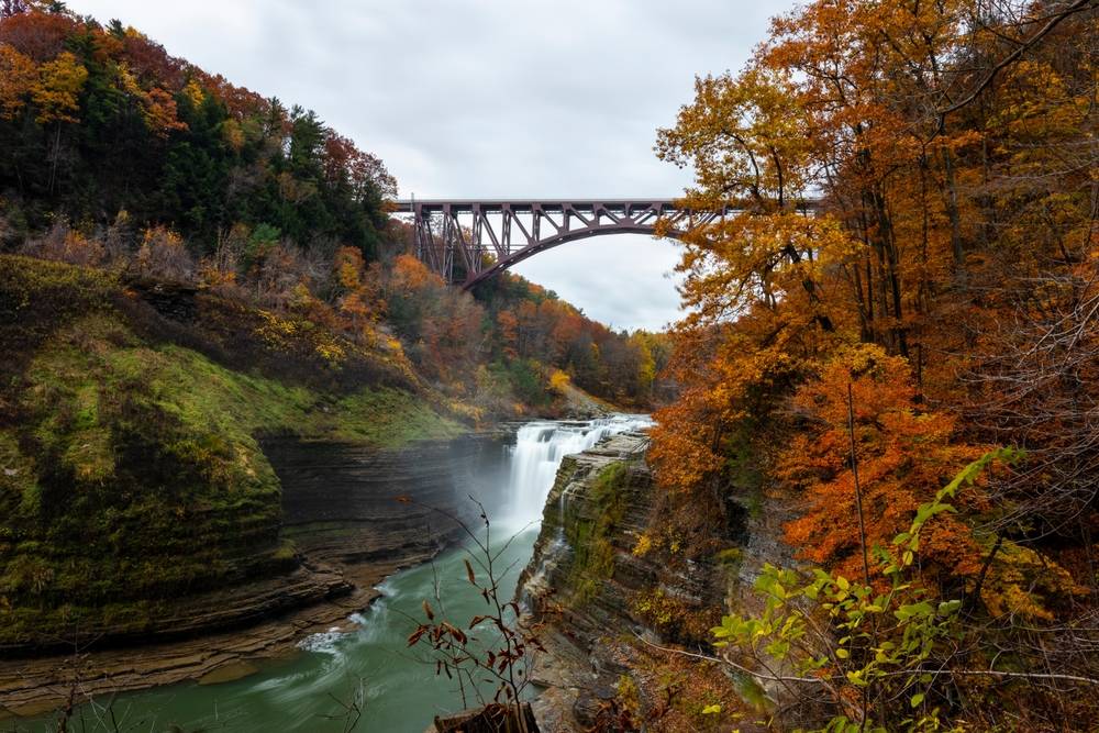 Visitar Finger Lakes    