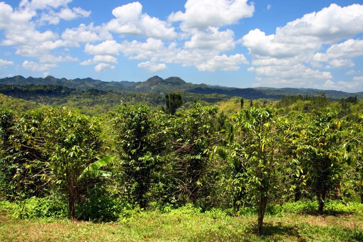 montanhas catadupa