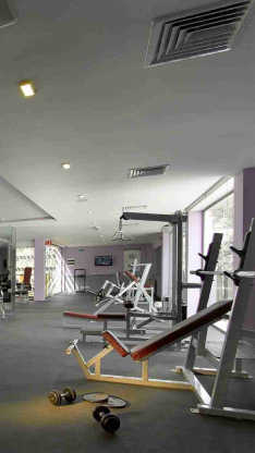 Canchas deportivas
