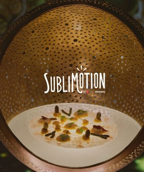Sublimotion
