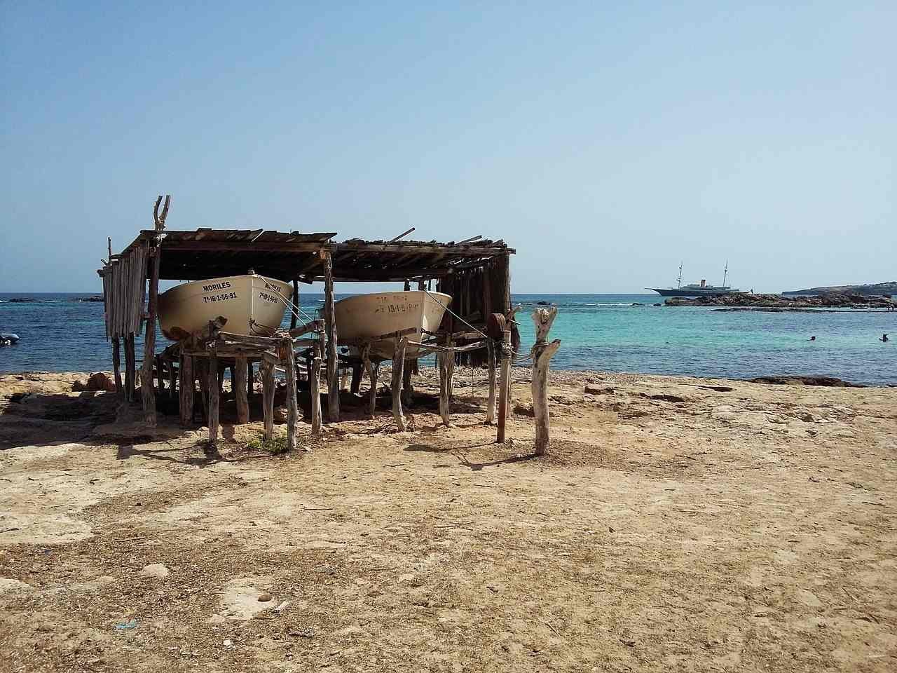 oceanográfico-valencia