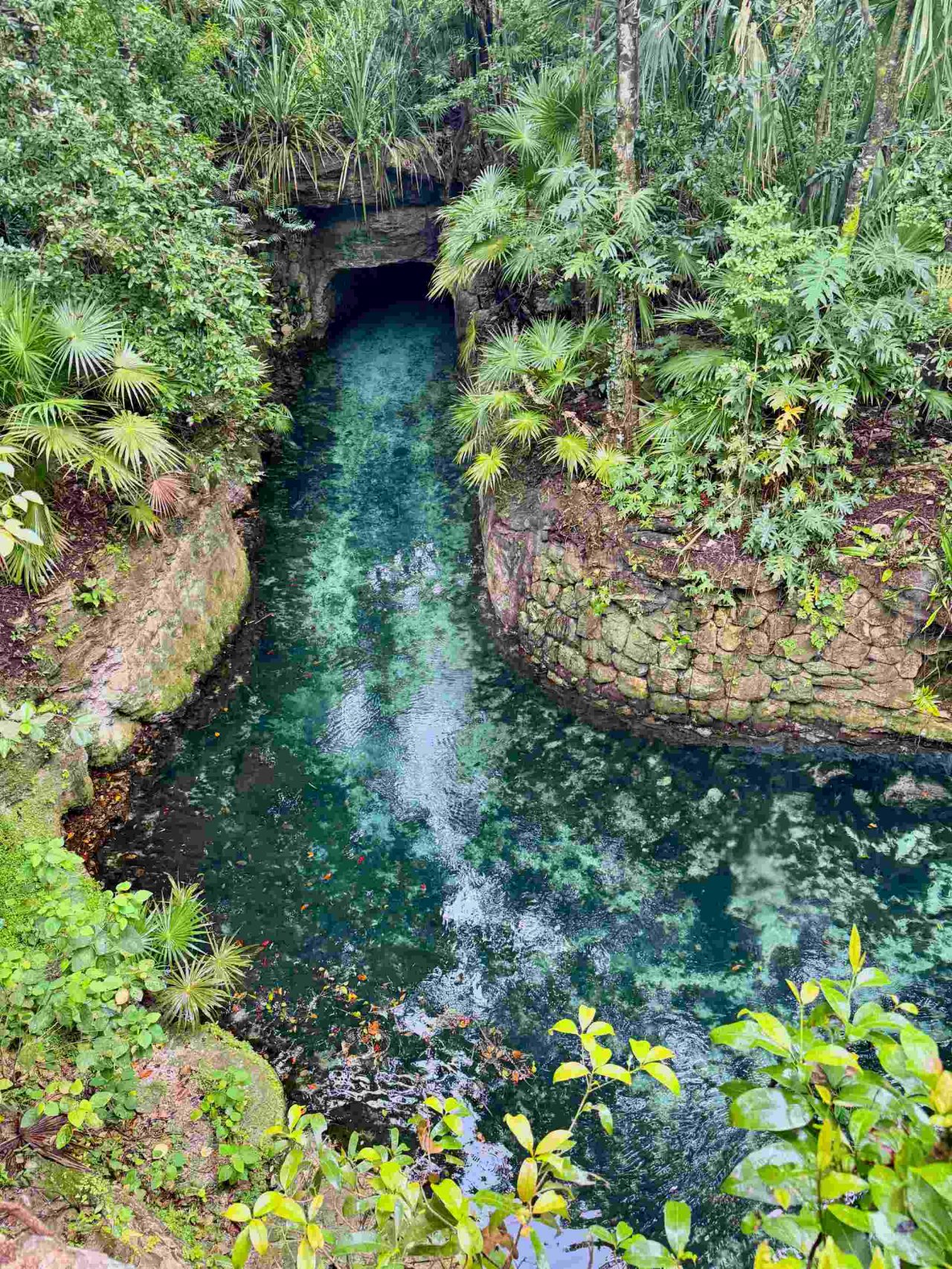 xcaret-by-mexico-ruta-rio-camino-negro